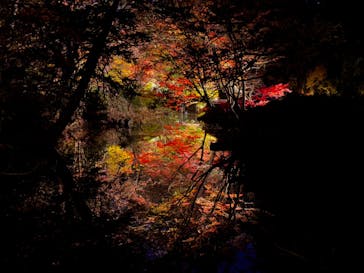 六義園に投稿された画像（2023/12/2）