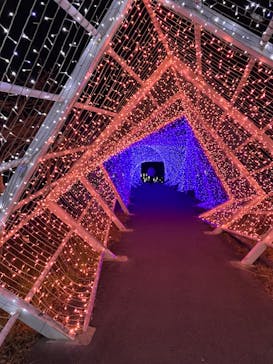 KYOTO ILLUMINATION SYNESTHESIA HILLS るり渓温泉に投稿された画像（2023/12/2）