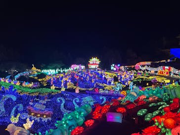 伊豆ぐらんぱる公園に投稿された画像（2023/12/2）