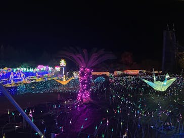 伊豆ぐらんぱる公園に投稿された画像（2023/12/2）