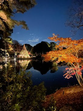 六義園に投稿された画像（2023/12/2）