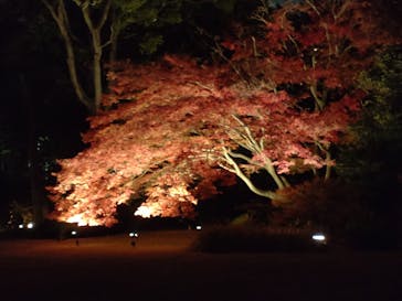 六義園に投稿された画像（2023/12/2）