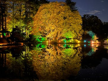 NAKED 紅葉の新宿御苑2023に投稿された画像（2023/12/2）