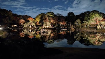 六義園に投稿された画像（2023/12/2）