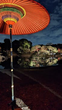 六義園に投稿された画像（2023/12/2）