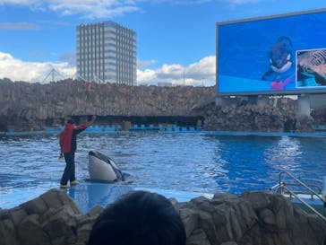 名古屋港水族館に投稿された画像（2023/12/2）