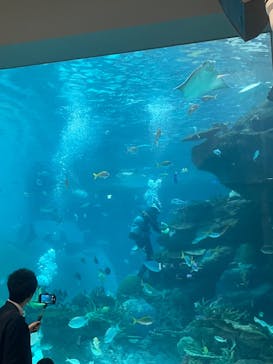 名古屋港水族館に投稿された画像（2023/12/2）