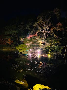 NAKEDヨルマイリ 2025-26 平安神宮に投稿された画像（2023/12/2）