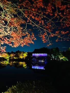 NAKEDヨルマイリ 2025-26 平安神宮に投稿された画像（2023/12/2）