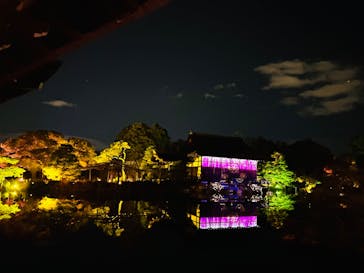 NAKEDヨルマイリ 2025-26 平安神宮に投稿された画像（2023/12/2）