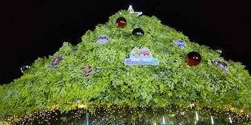 東京メガイルミに投稿された画像（2023/12/2）