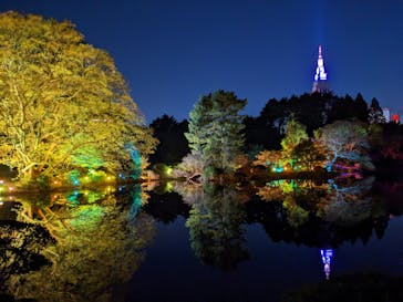 NAKED 紅葉の新宿御苑2023に投稿された画像（2023/12/2）