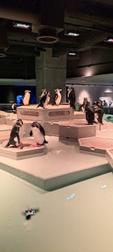 AOAO SAPPOROに投稿された画像（2023/12/2）