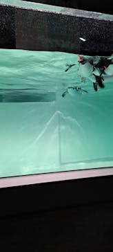 AOAO SAPPOROに投稿された画像（2023/12/2）