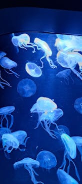 AOAO SAPPOROに投稿された画像（2023/12/2）