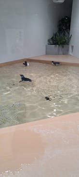 AOAO SAPPOROに投稿された画像（2023/12/2）