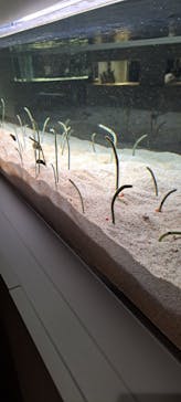 AOAO SAPPOROに投稿された画像（2023/12/2）