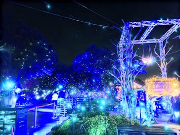 江の島シーキャンドルに投稿された画像（2023/12/2）