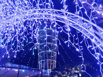 江の島シーキャンドルに投稿された画像（2023/12/2）