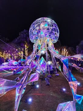 江の島シーキャンドルに投稿された画像（2023/12/2）