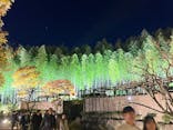 国営昭和記念公園 秋の夜散歩に投稿された画像（2023/12/3）
