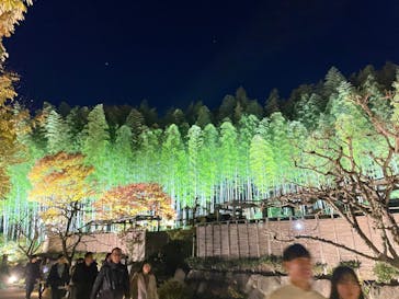 国営昭和記念公園 秋の夜散歩に投稿された画像（2023/12/2）