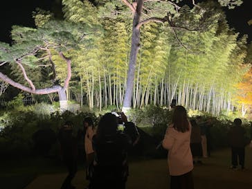 国営昭和記念公園 秋の夜散歩に投稿された画像（2023/12/2）
