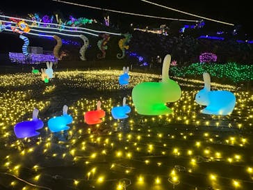 伊豆ぐらんぱる公園に投稿された画像（2023/12/2）