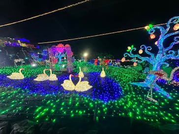 伊豆ぐらんぱる公園に投稿された画像（2023/12/2）