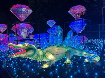 伊豆ぐらんぱる公園に投稿された画像（2023/12/2）