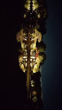 六義園に投稿された画像（2023/11/25）