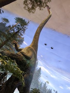 福井県立恐竜博物館に投稿された画像（2023/12/2）