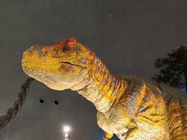 福井県立恐竜博物館に投稿された画像（2023/12/2）
