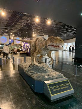 福井県立恐竜博物館に投稿された画像（2023/12/3）