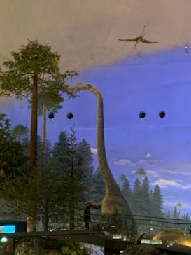 福井県立恐竜博物館に投稿された画像（2023/12/3）