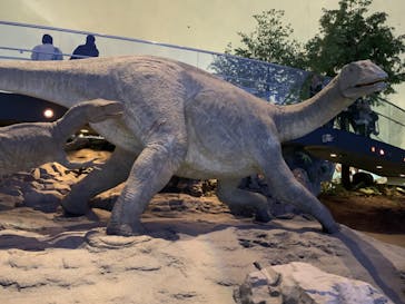 福井県立恐竜博物館に投稿された画像（2023/12/3）