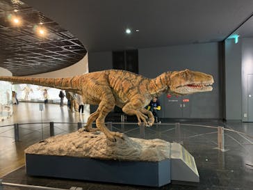 福井県立恐竜博物館に投稿された画像（2023/12/3）