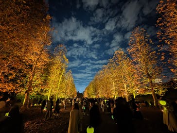 NAKED 紅葉の新宿御苑2023に投稿された画像（2023/12/3）