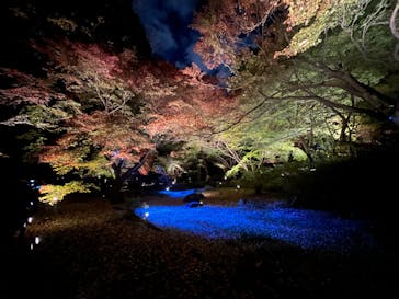 六義園に投稿された画像（2023/12/3）