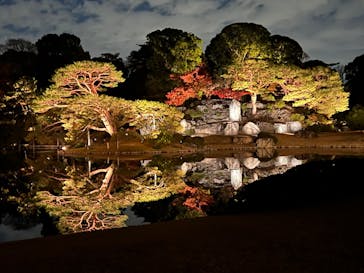 六義園に投稿された画像（2023/12/3）