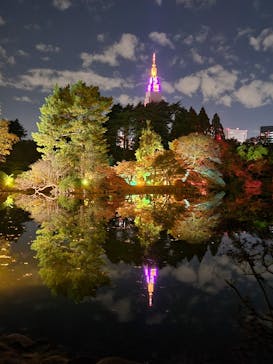 NAKED 紅葉の新宿御苑2023に投稿された画像（2023/12/3）