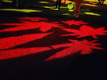 NAKED 紅葉の新宿御苑2023に投稿された画像（2023/12/3）