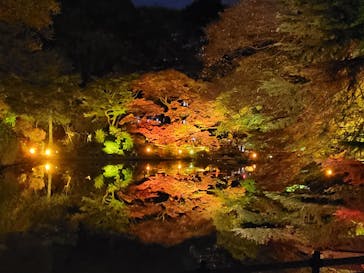 NAKED 紅葉の新宿御苑2023に投稿された画像（2023/12/3）