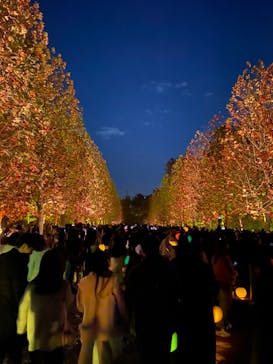 NAKED 紅葉の新宿御苑2023に投稿された画像（2023/12/3）