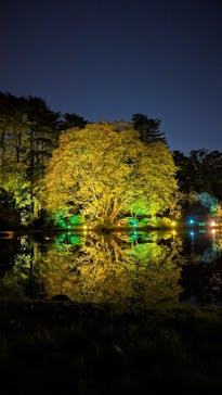 NAKED 紅葉の新宿御苑2023に投稿された画像（2023/12/3）