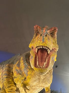 福井県立恐竜博物館に投稿された画像（2023/12/3）