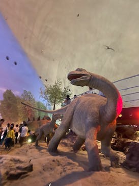 福井県立恐竜博物館に投稿された画像（2023/12/3）
