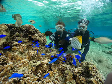 武藤潜水に投稿された画像（2023/12/3）