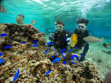 武藤潜水に投稿された画像（2023/12/3）