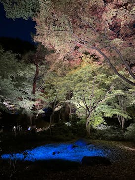 六義園に投稿された画像（2023/12/3）